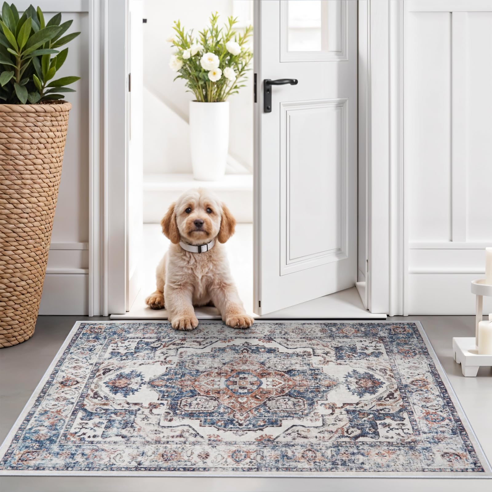 Washable Vintage Runner Rug 2x7