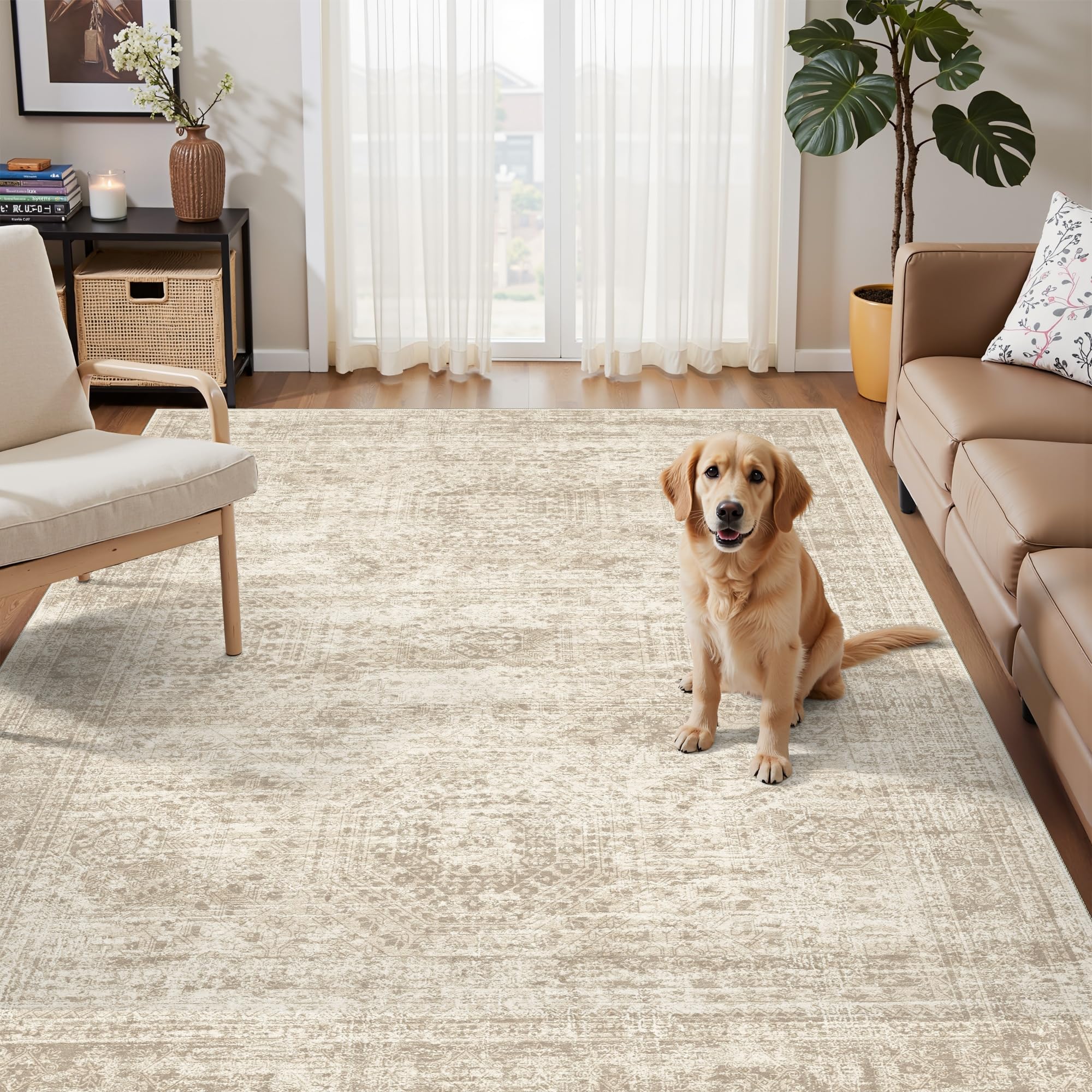 Washable Non-Slip Area Rug