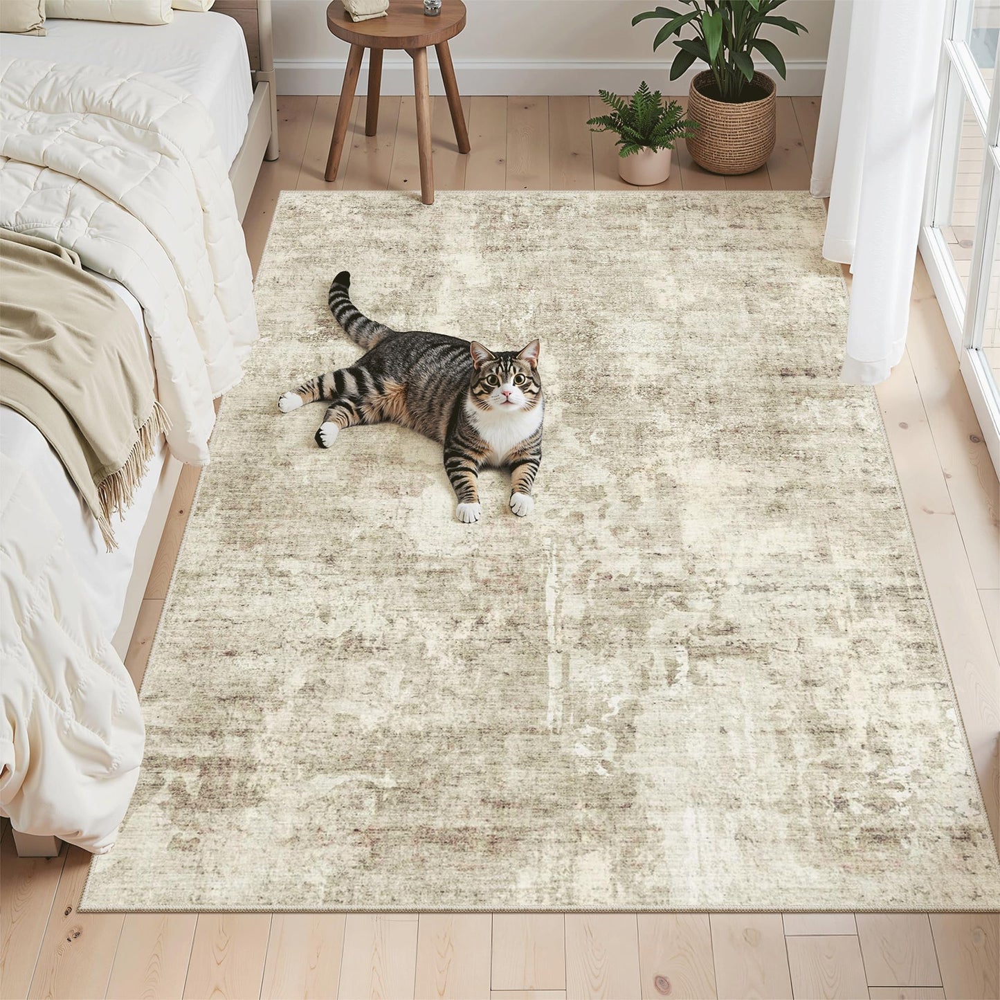 Washable Non-Slip Area Rug