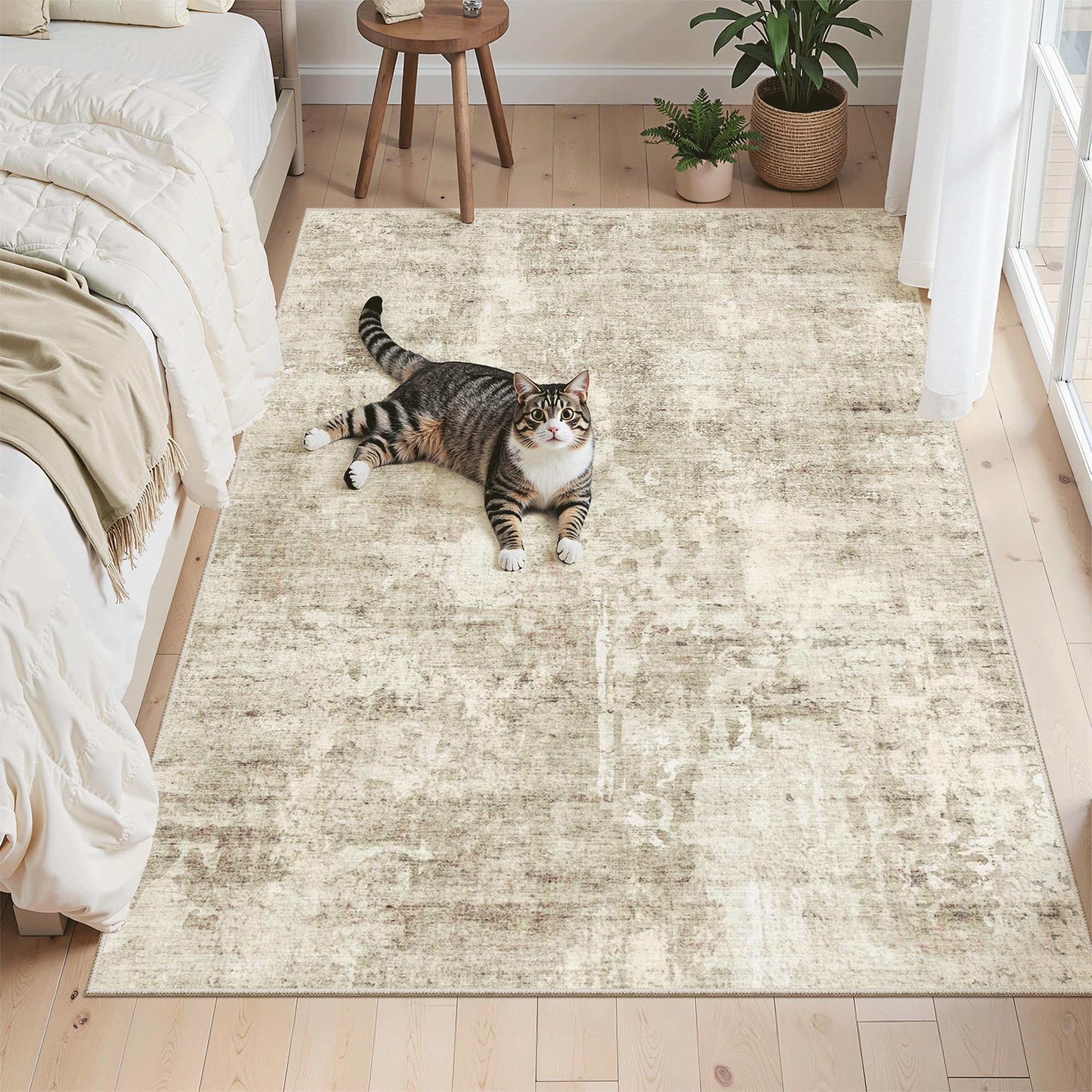 Washable Non-Slip Area Rug