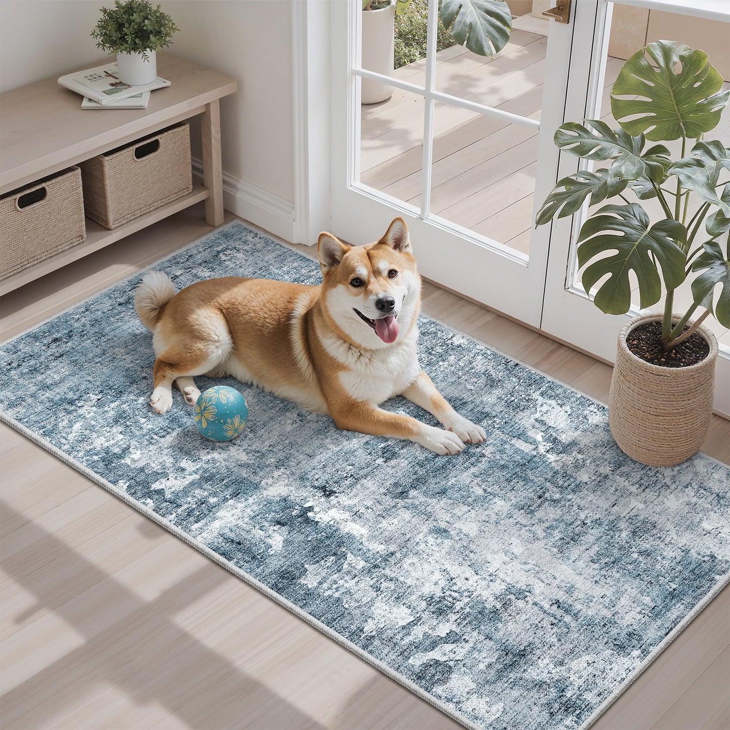 Washable Non-Slip Area Rug