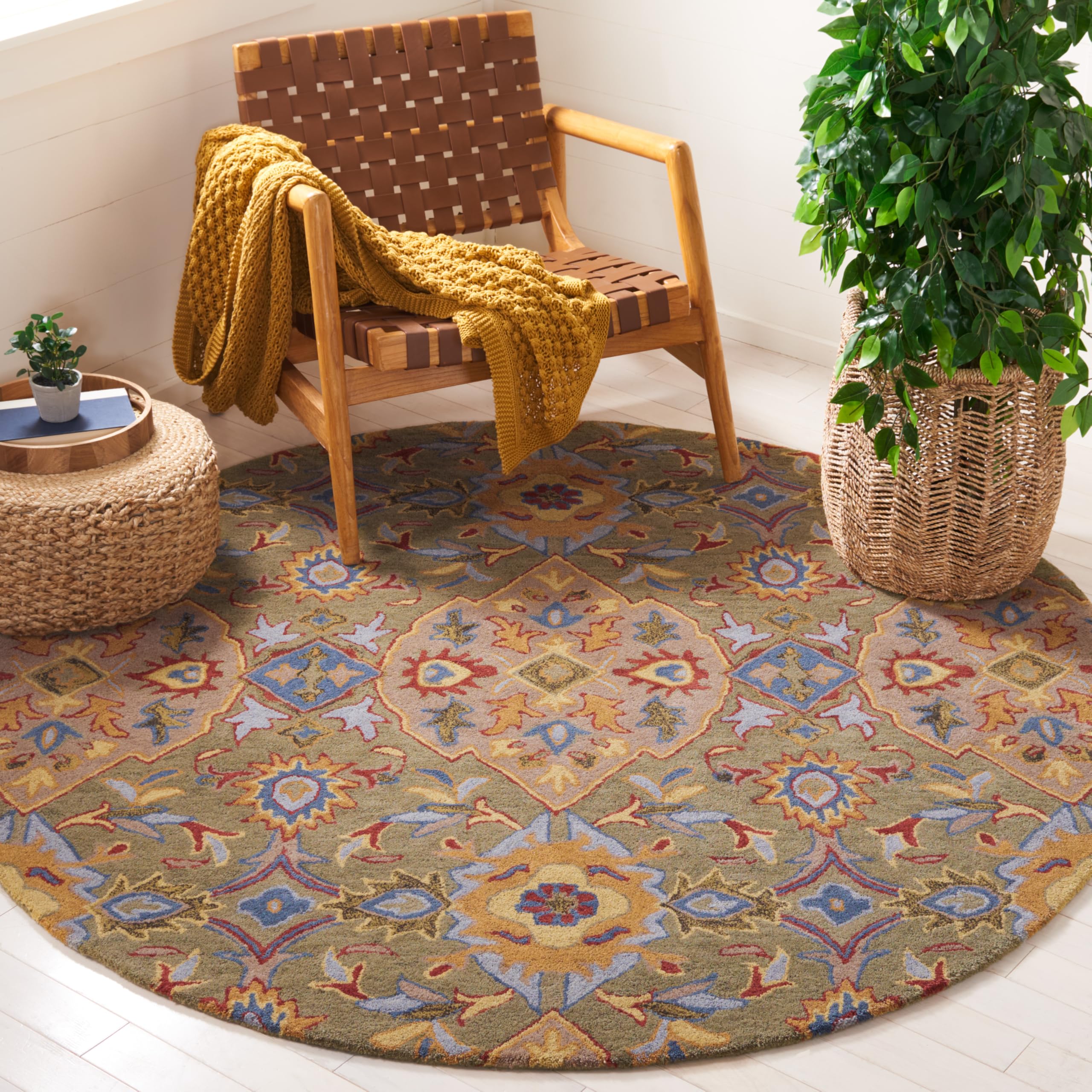 Traditional Oriental Wool Area Rug