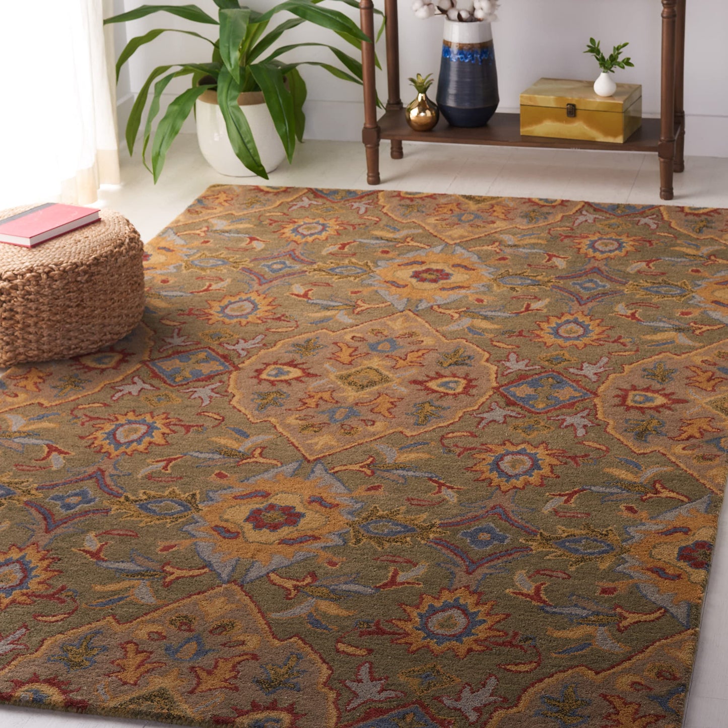 Traditional Oriental Wool Area Rug