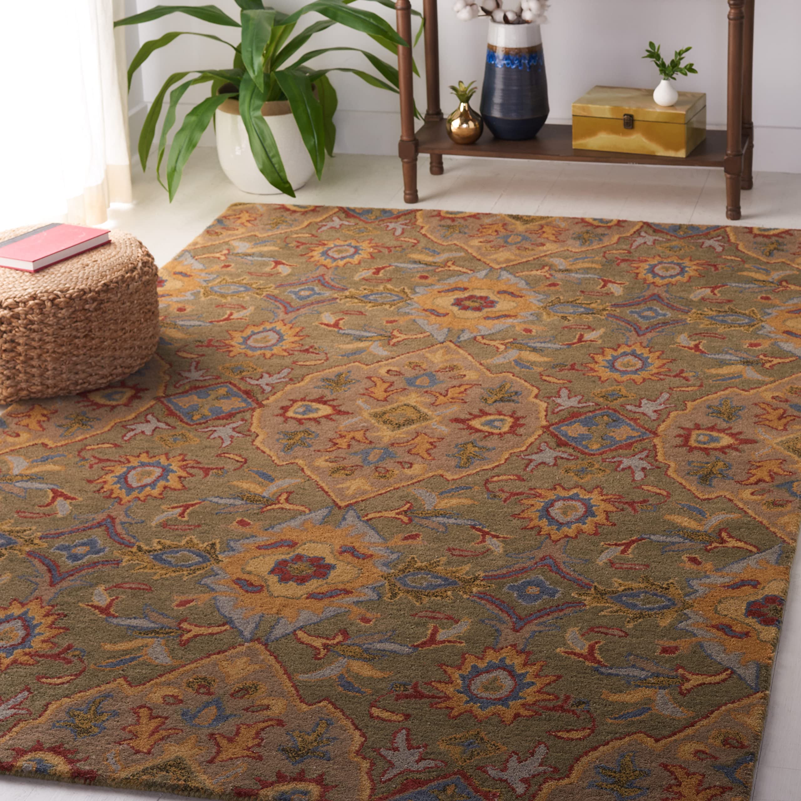 Traditional Oriental Wool Area Rug